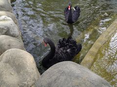 -北京市海淀外国语实验学校