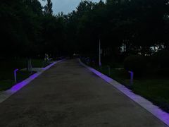 -莫子山公园