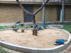 -石家庄市动物园