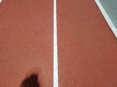 -回龙观体育文化公园