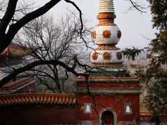 -颐和园