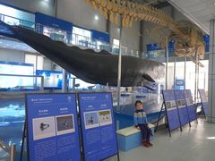 -上海海洋大学鱼文化博物馆(军工路校区)