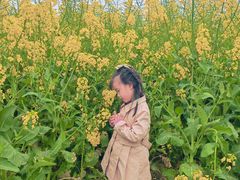 -中国天府农业博览园