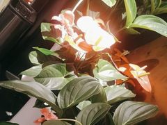 -喜湘宴·精致湖南菜(和平西桥店)