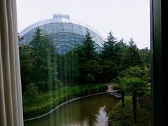 -悦兮半岛温泉度假酒店·餐厅部
