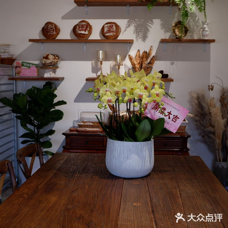 宁波探店｜走马塘新开的窑烤面包