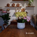 宁波探店｜走马塘新开的窑烤面包