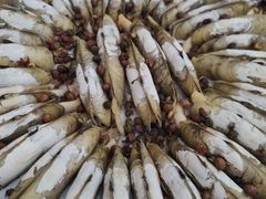 -闽南海鲜城(滨河中路店)