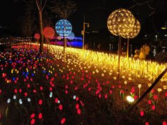 -怡海公园(桂城街道)