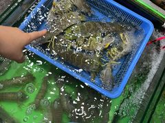 -拉威海鲜市场