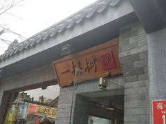 -一棵树(雨儿胡同)