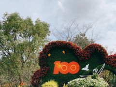-上海滨江森林公园