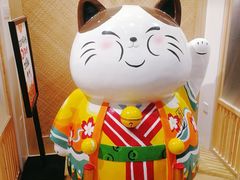-屋虎猫馆(宝安大仟里店)