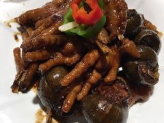 -鲜螺湾(鹏欣丽都店)