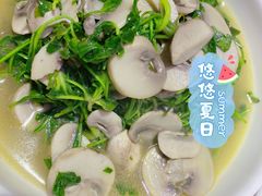-旺山·浪头人家