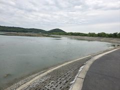-金鸡湖桃花岛