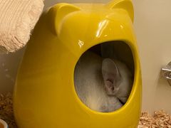 -龙猫仔乐园(惠福东路店)