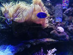 -左海海底世界