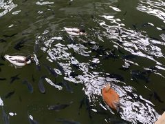 -南宫五洲植物乐园