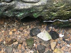 -三门江国家森林公园