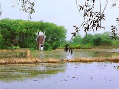 -长兴太湖图影湿地文化园