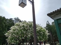 -北京市劳动人民文化宫(太庙)