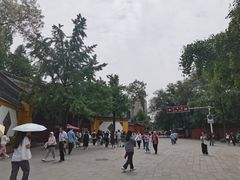 -洞子口张老二凉粉(文殊院店)