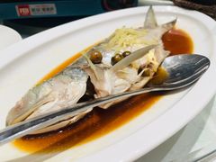 -光头匠