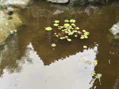 -日出青木·杭帮菜名店