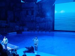 -芜湖新华联大白鲸海洋公园