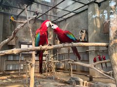 -大连森林动物园