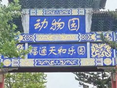 -西霞口神雕山野生动物世界