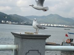-东湖落雁景区