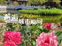 -顺峰山公园