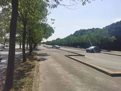 -胜华驾校·小猫学车(银都店)