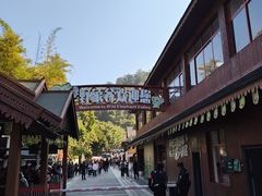 -野象谷景区