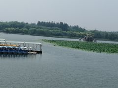 -大兴滨河森林公园