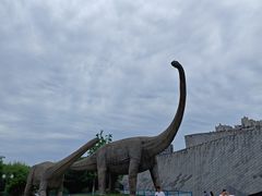 -安徽省地质博物馆