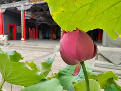 -长安寺
