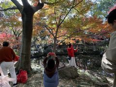 -秋霞圃