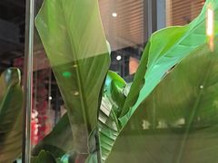 -百特喜·意大利餐厅(八佰伴镇江店)