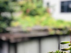 -無鱼鳞比