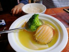 -四季春