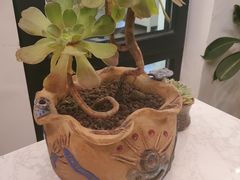 -素心小筑(后沙裕镇店)