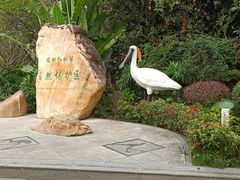 -深圳湾公园(南山区)