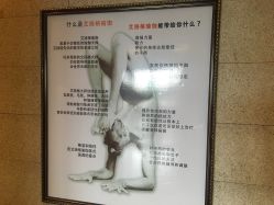 -广州萨谛艾扬格瑜伽中心