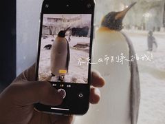 -珠海长隆海洋王国