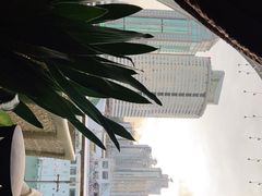 -润园四季椰子鸡火锅(海上世界店)