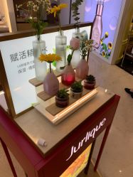 -茱莉蔻