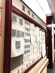 -复旦大学附属妇产科医院(杨浦院区)